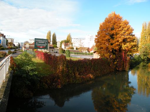  couleurs d'automne